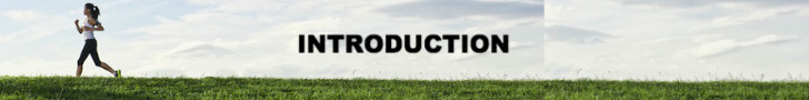 introbanner