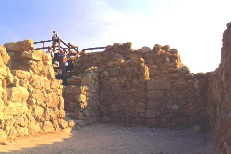 4. Locus 30,  NE Corner