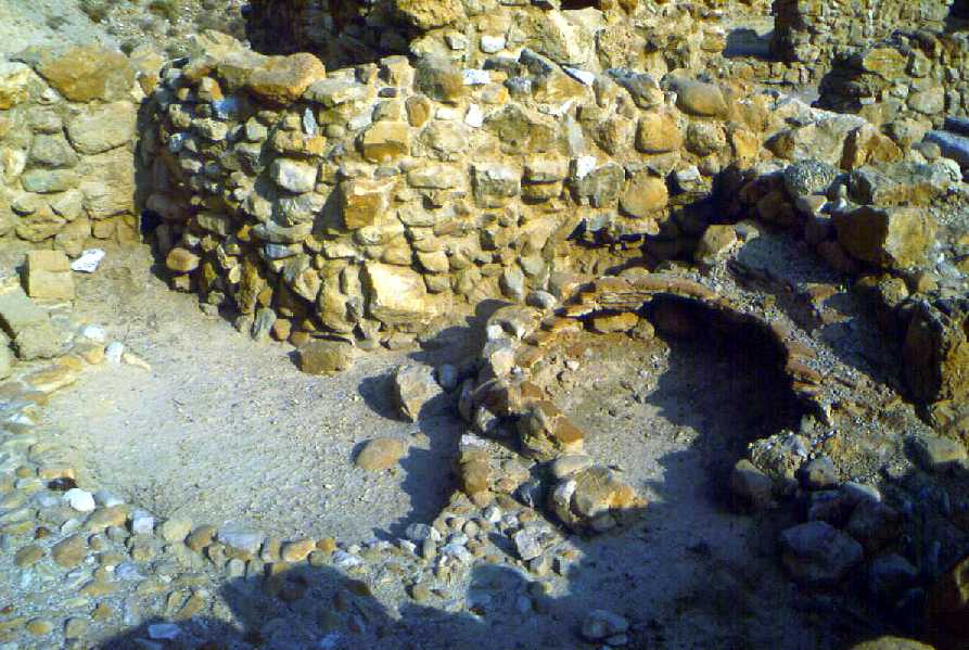 7. Locus 100, from East