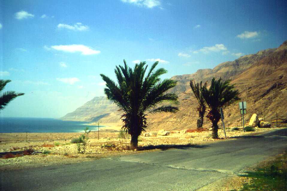 NW Coast of the Dead Sea