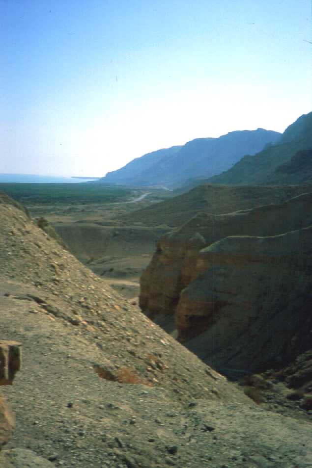 View South from NW Corner of Compound