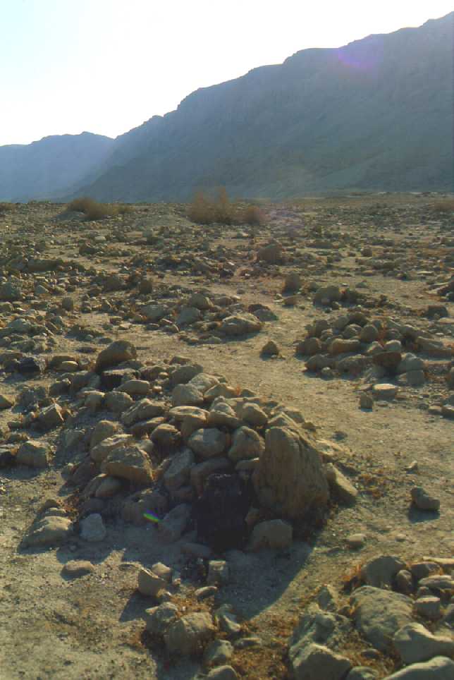 Graves in Western Cemetery Looking SW