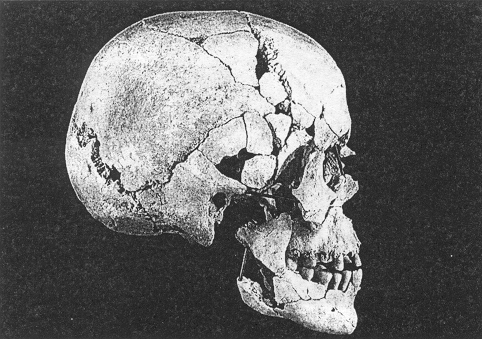 Male Skull, Side View, Grave 24