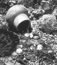 Silver Coins from Qumran