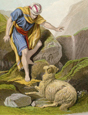Man Who Lost His Sheep