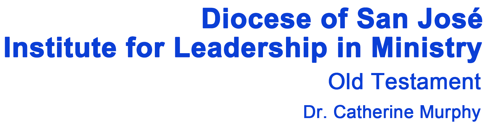 Diocese of San Jos&eacute;, Institute for Leadership in Ministry