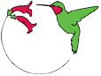 Hummingbird Society Logo