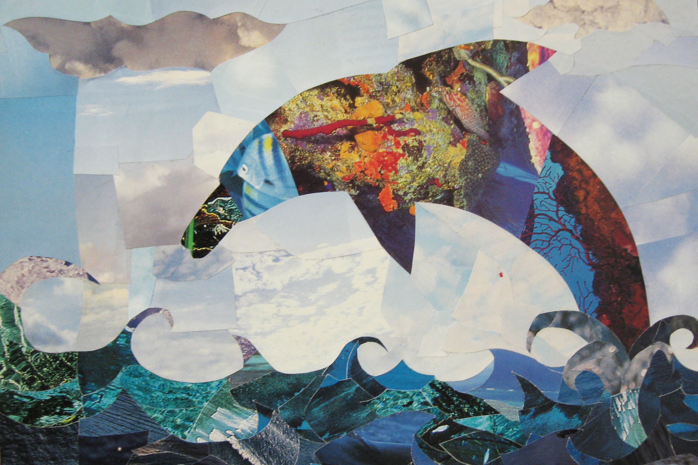Dolphin Collage