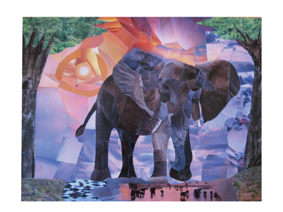 Elephant Collage
