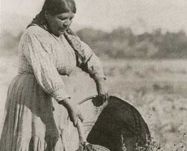 Pomo Indian Farming
