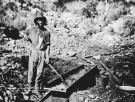 African American Gold Miner