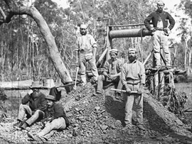 Gold Rush Miners
