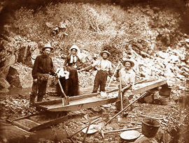 Gold Rush Miners