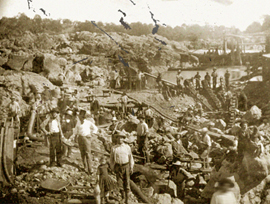 Gold Rush Miners